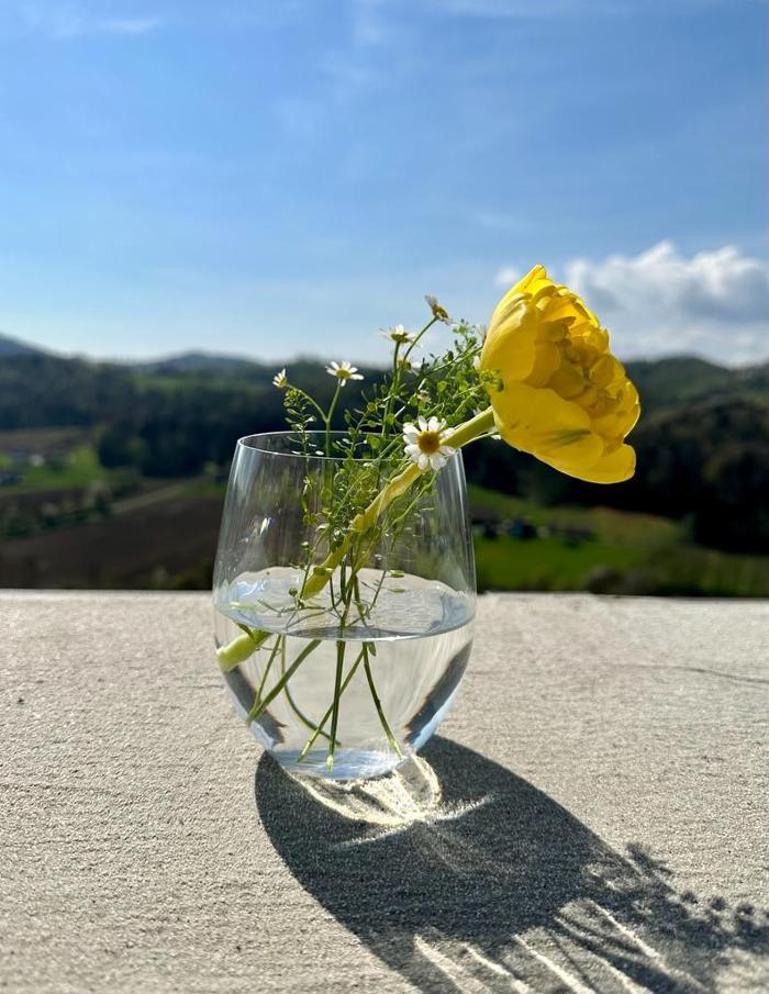 Fräulein Leni Hotel, Kranach in Kranach