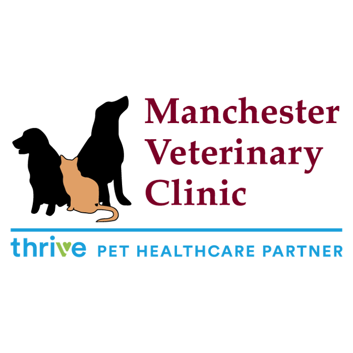 Manchester Veterinary Clinic