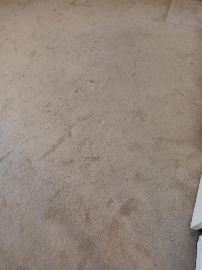 Prince King Carpet Cleaning - Marietta, GA