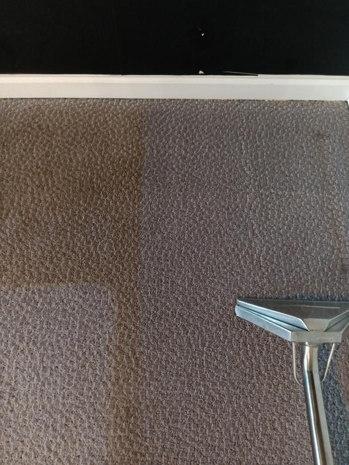 Prince King Carpet Cleaning - Marietta, GA