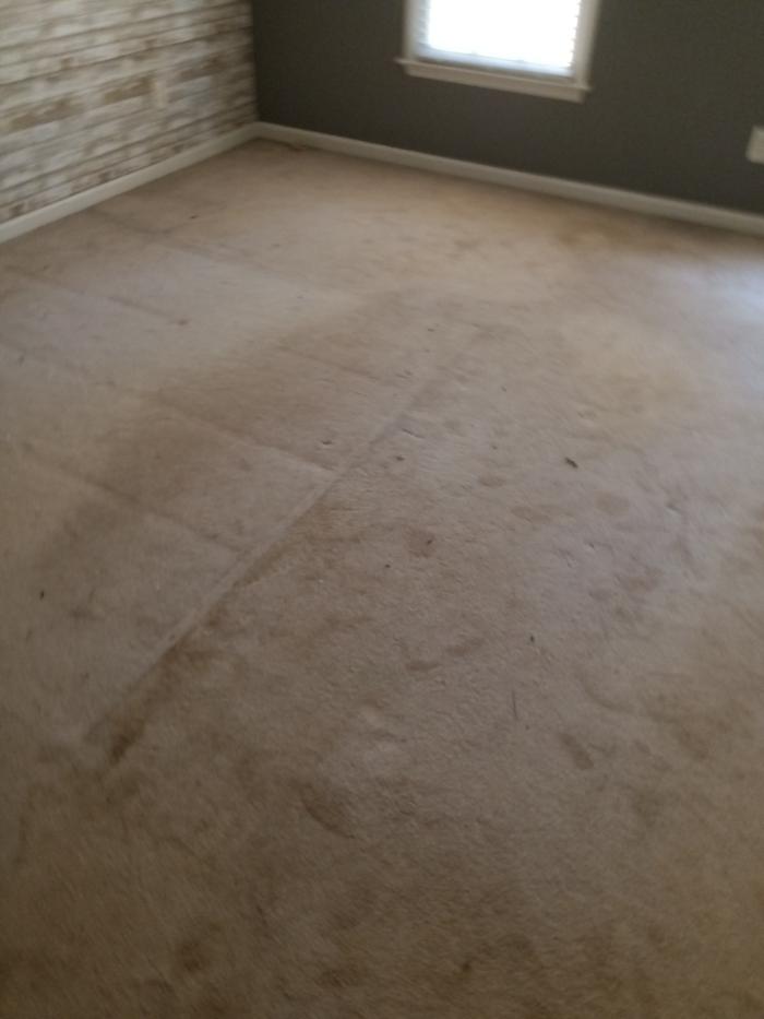 Prince King Carpet Cleaning - Marietta, GA