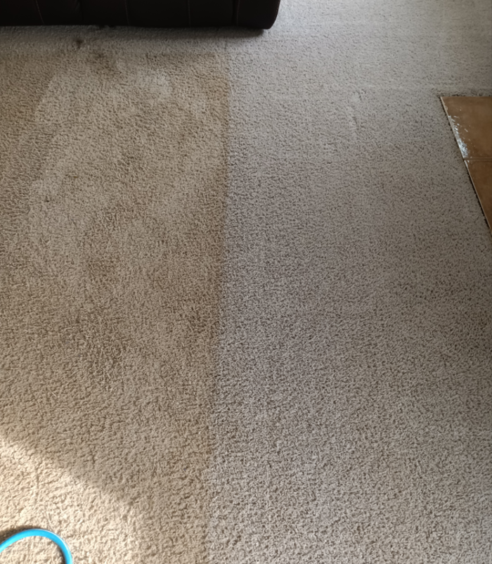 Prince King Carpet Cleaning - Marietta, GA