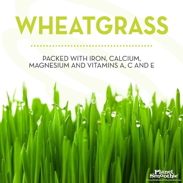 Planet Smoothie St Johns - St. Johns, FL