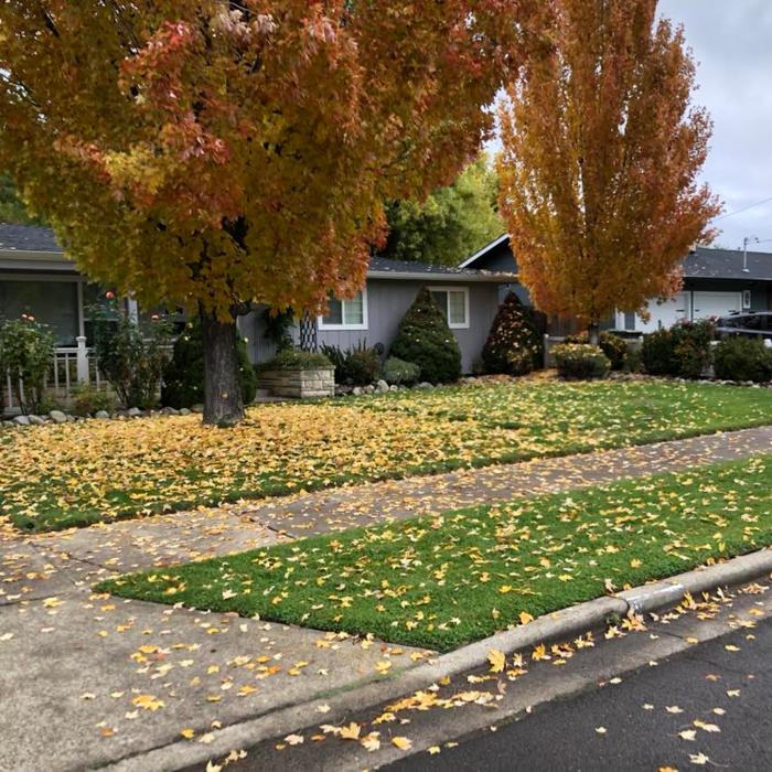 Azteca Lawn Care, LLC - Medford, OR