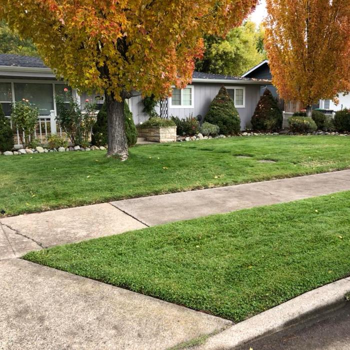 Azteca Lawn Care, LLC - Medford, OR