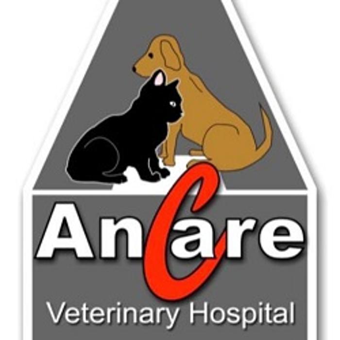 Ancare Veterinary Hospital