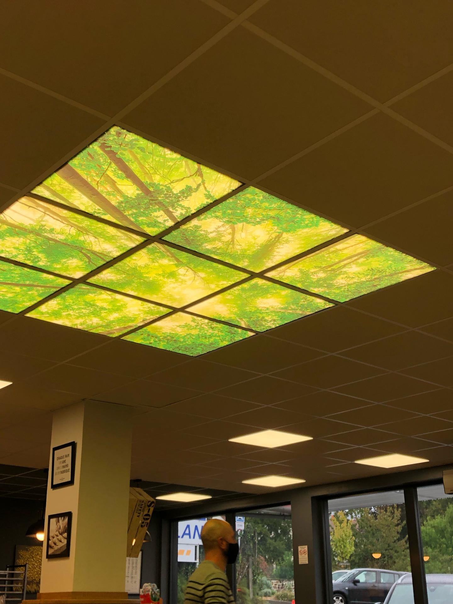 galerie image