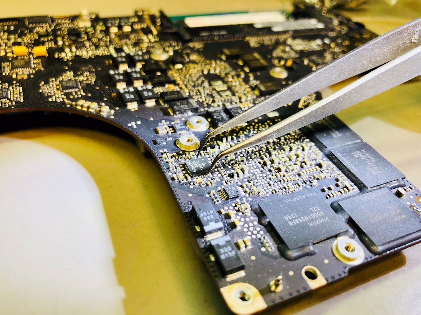 Miniature de la galerie