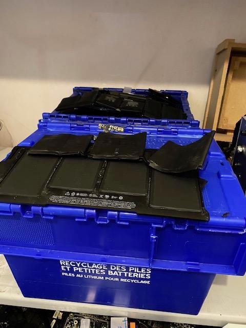 Miniature de la galerie