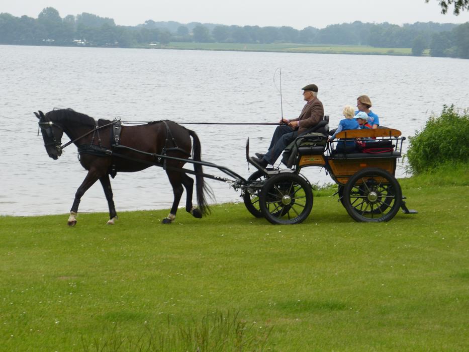 Kutschtouren Nehmten, Gutshof in Nehmten
