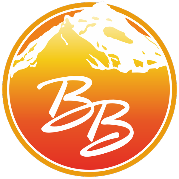 BAUD BERTAUD COMBUSTIBLES "Sas" Expert