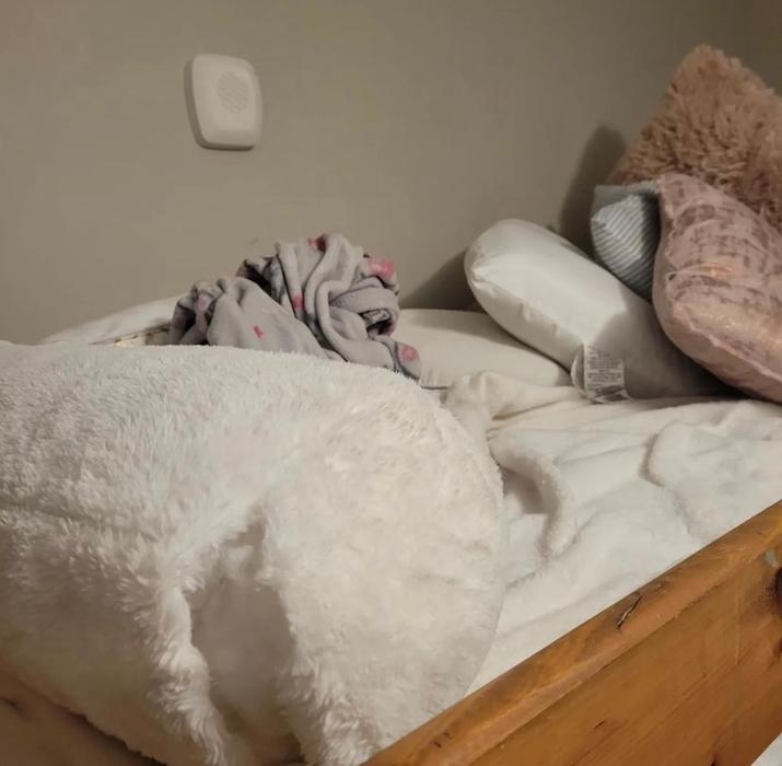 Only One Touch LLC - Manchester, GA