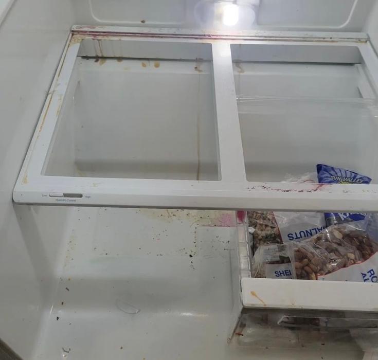 Only One Touch LLC - Manchester, GA