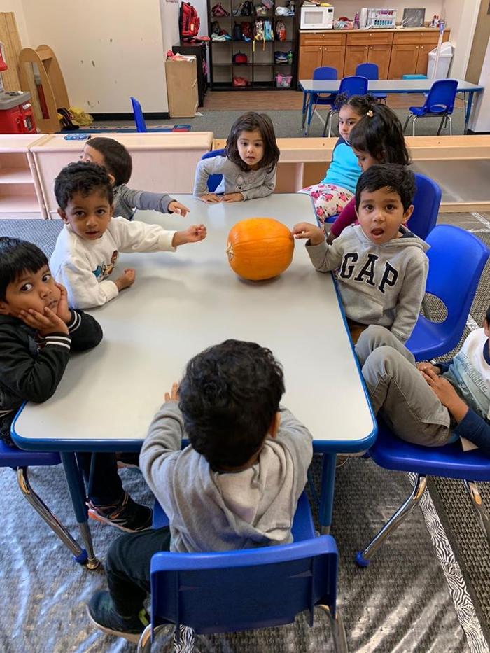 Safari Kid Montessori - Mission Image