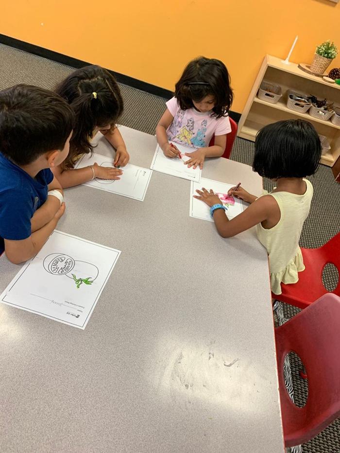 Safari Kid Montessori - Mission Image