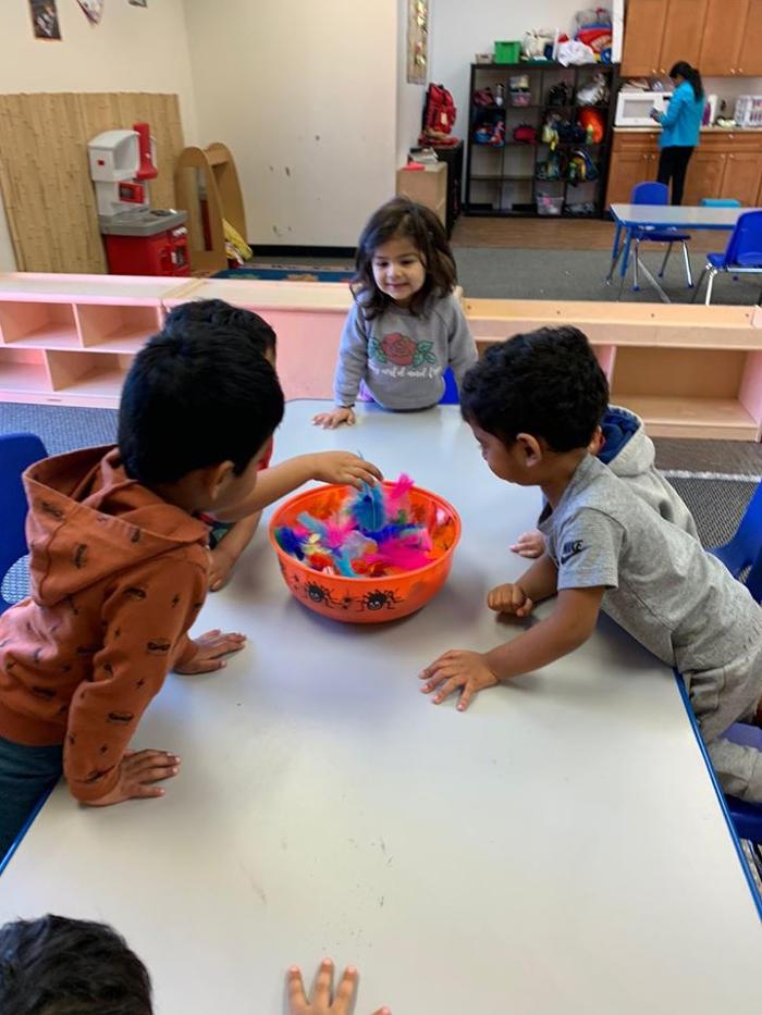 Safari Kid Montessori - Mission Image