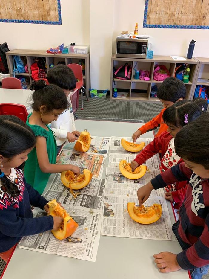 Safari Kid Montessori - Mission Image