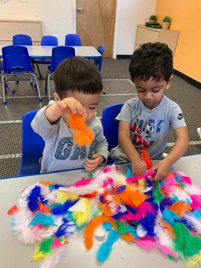 Safari Kid Montessori - Mission Image