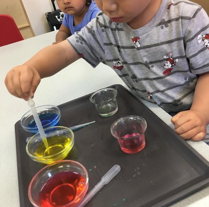 Safari Kid Montessori - Mission Image