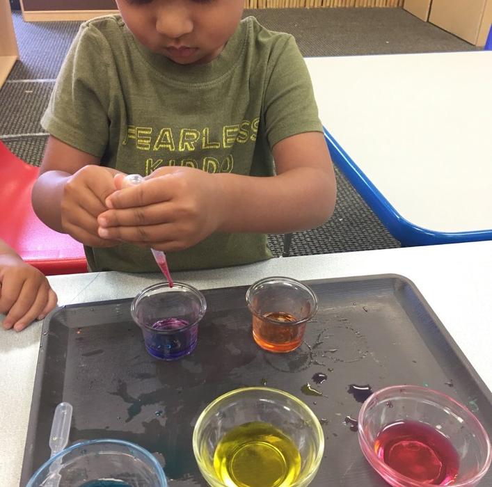 Safari Kid Montessori - Mission Image