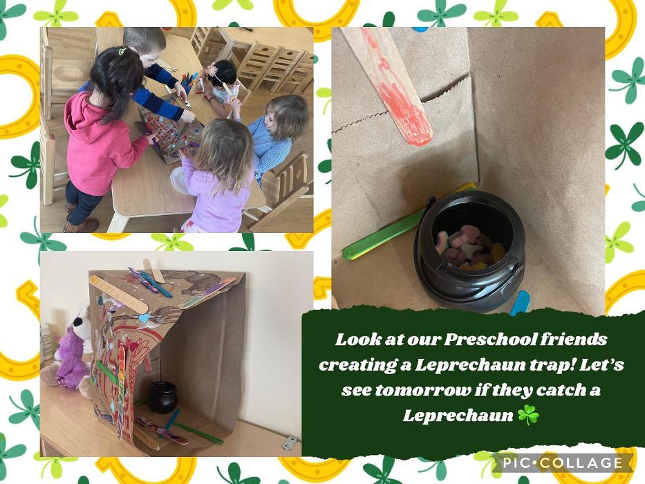 Safari Kid - Burlington - Burlington, MA