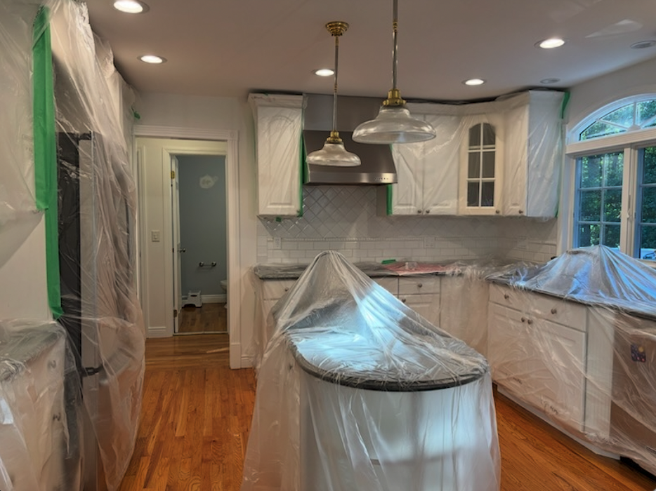 Shamrock Painting Plus, LLC Image