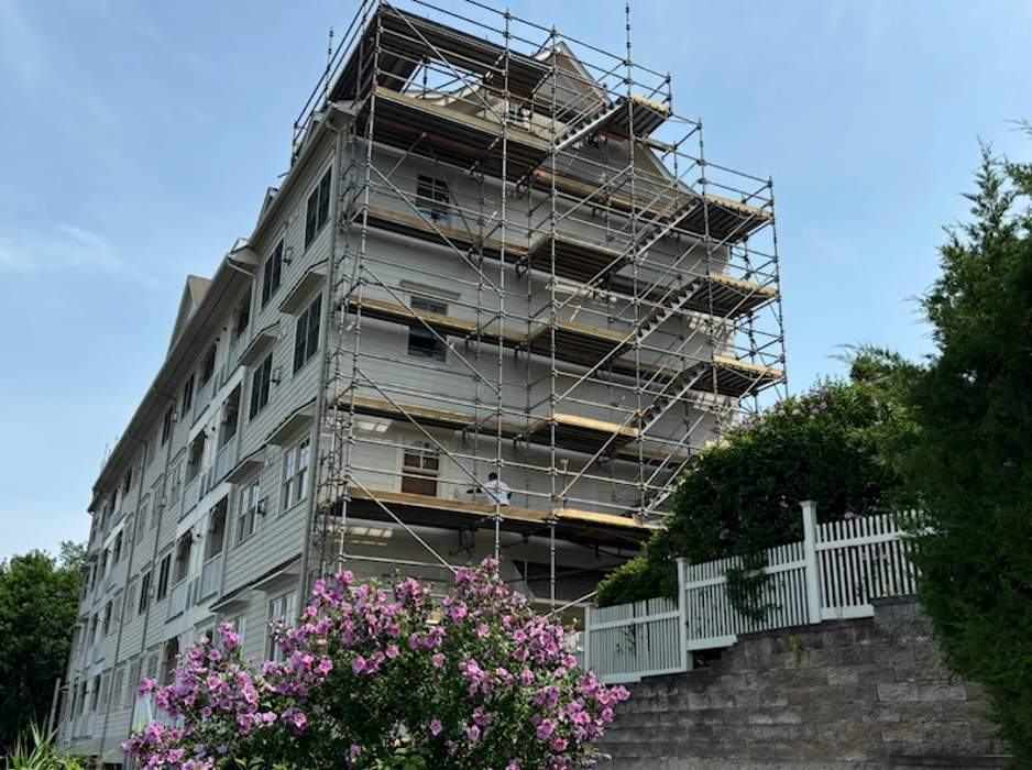 Shamrock Painting Plus, LLC Image