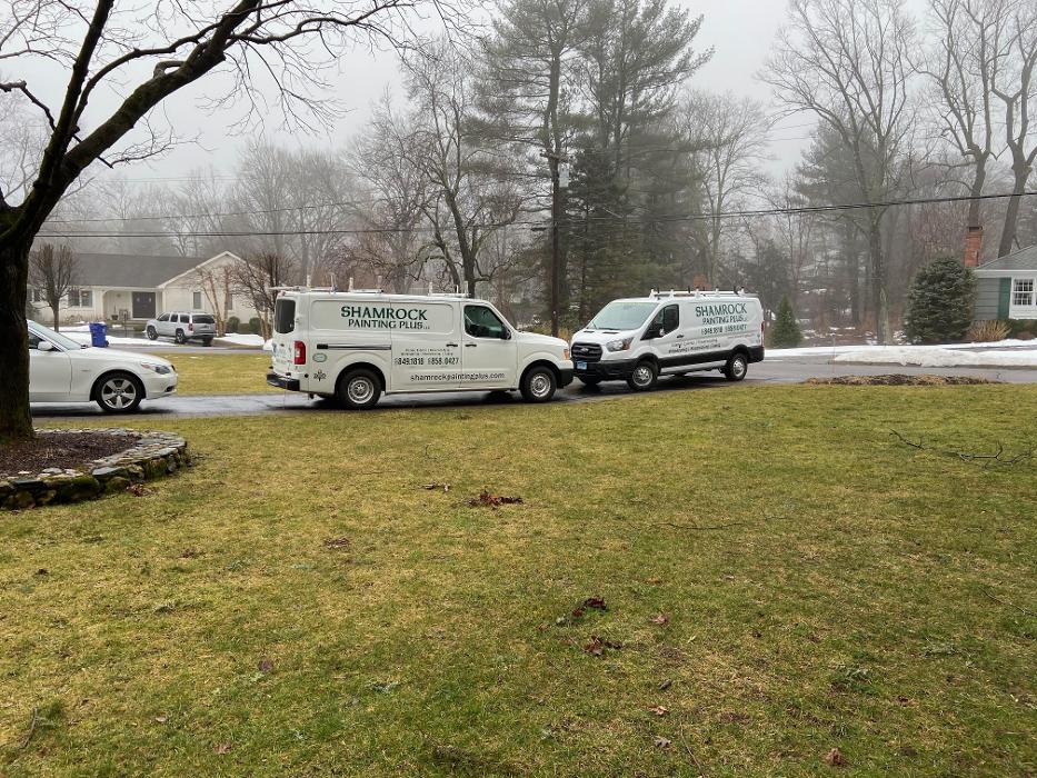 Shamrock Painting Plus, LLC Image