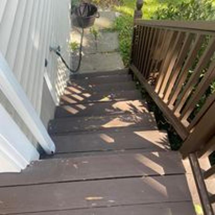 Shamrock Painting Plus, LLC Logo