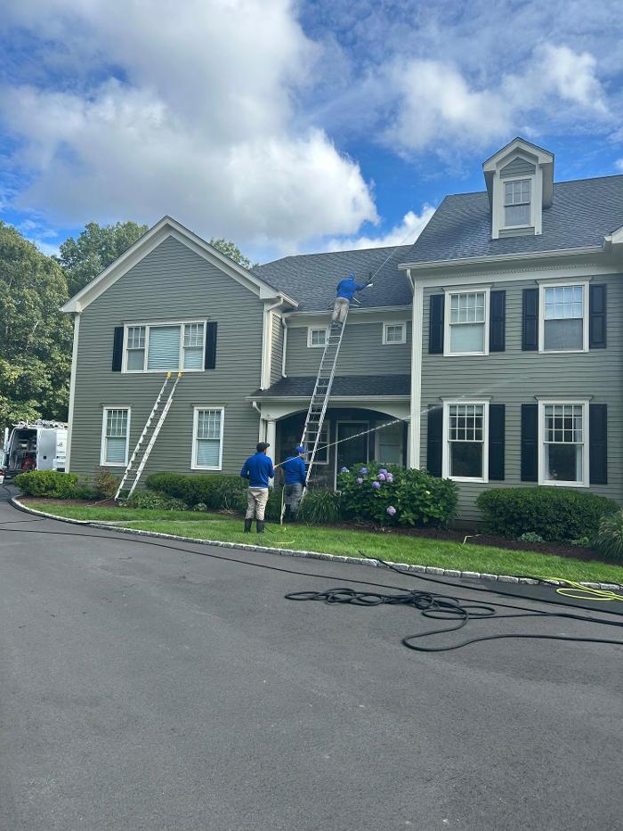 Shamrock Painting Plus, LLC Image