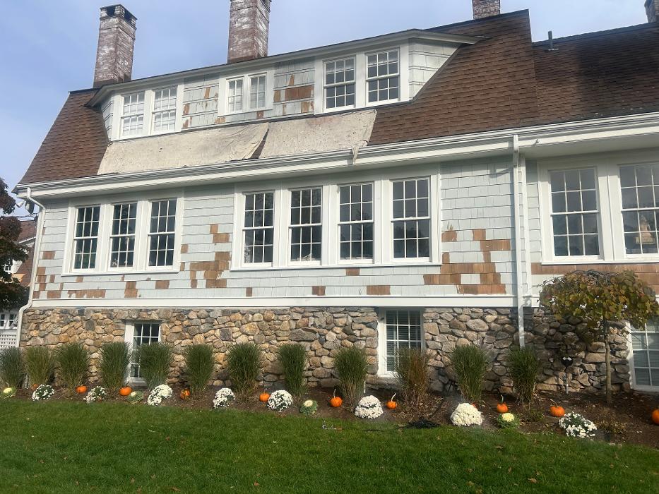 Shamrock Painting Plus, LLC Image