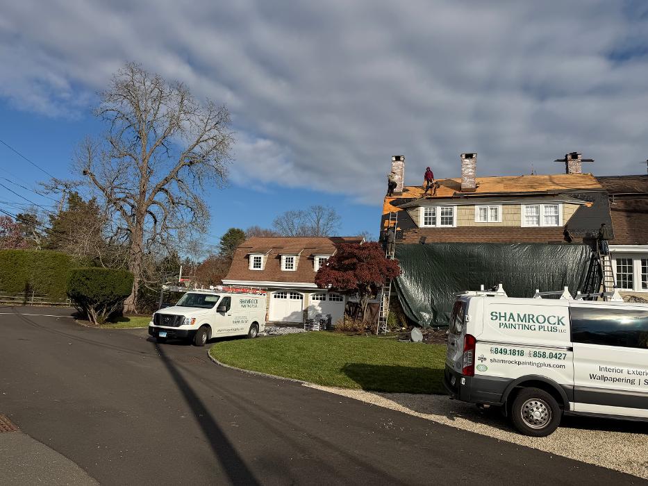 Shamrock Painting Plus, LLC Image