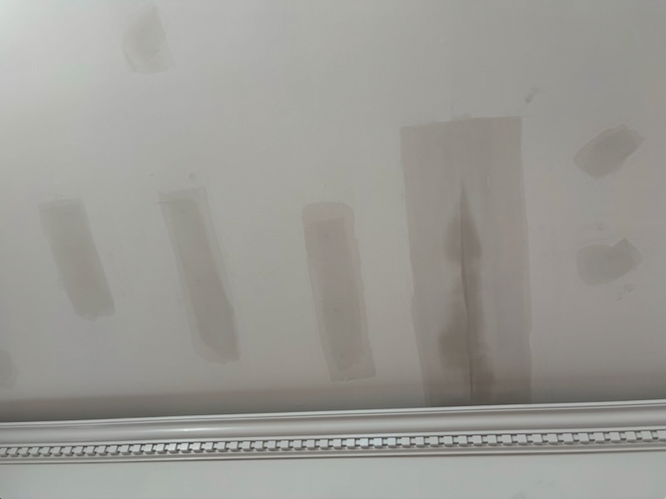 Shamrock Painting Plus, LLC Image