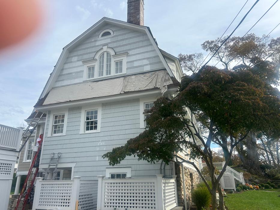 Shamrock Painting Plus, LLC Image