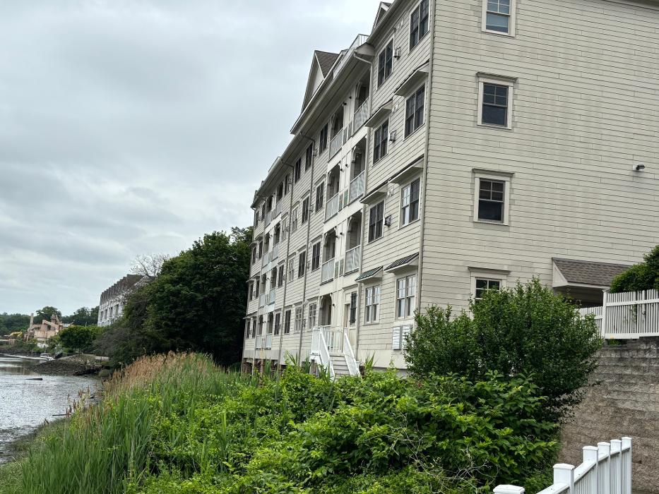 Shamrock Painting Plus, LLC Image