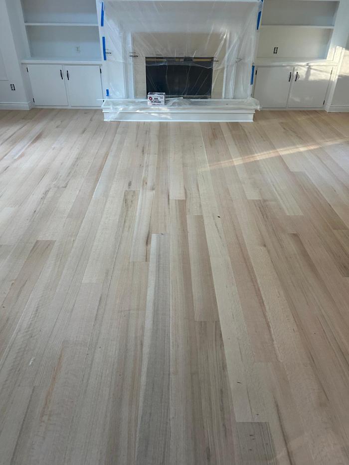 Shamrock Painting Plus, LLC Image