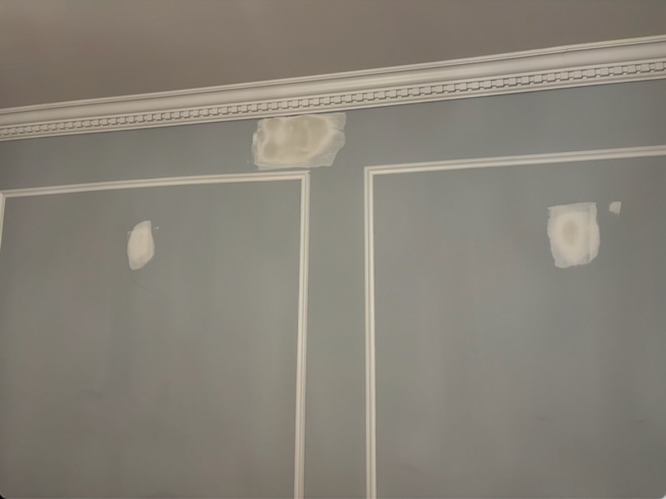 Shamrock Painting Plus, LLC Image