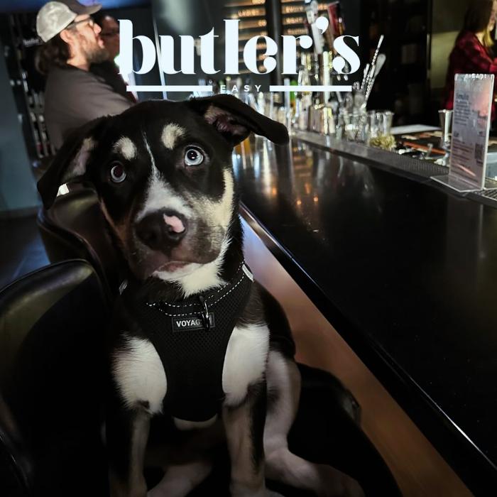 Butler's Easy - Phoenix, AZ