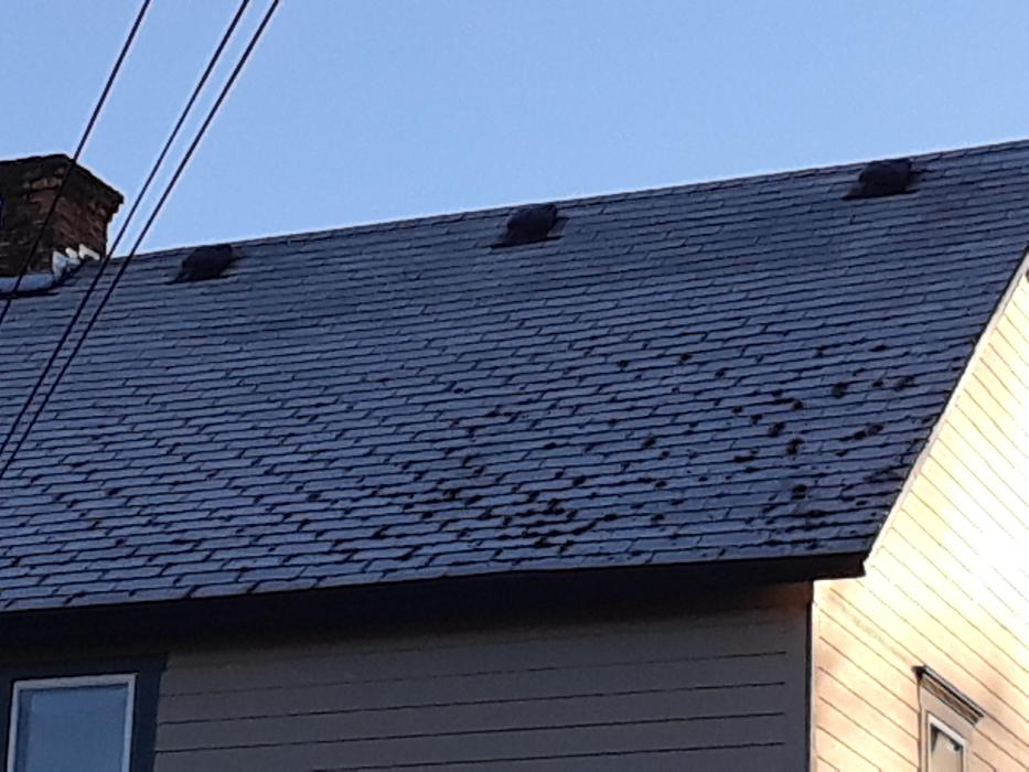 Roman Gutter - Portland, OR