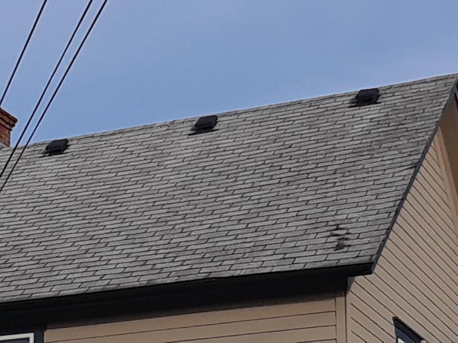 Roman Gutter - Portland, OR