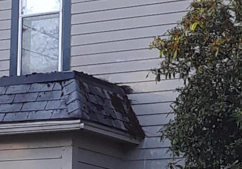 Roman Gutter - Portland, OR