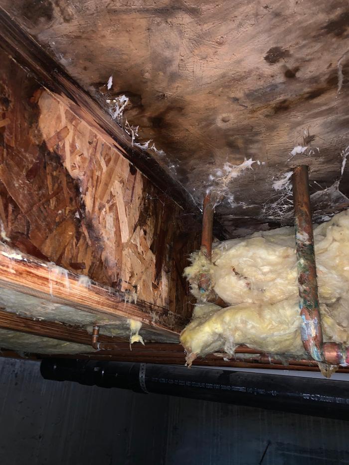 Just Right Cleaning & Construction - Moses Lake, WA