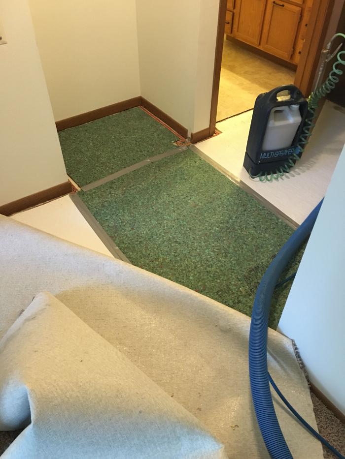 Dri X Cleaning & Restoration, LLC - Eau Claire, WI