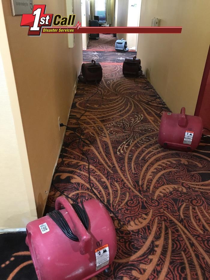 1st Call Disaster Services - Florence, KY