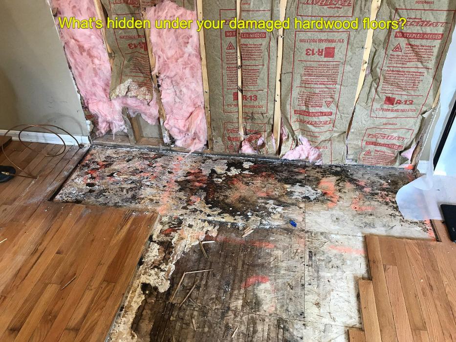 1st Call Disaster Services - Florence, KY