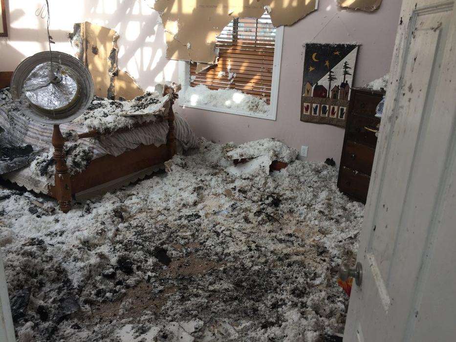 Buffalo Restoration - Bozeman, MT