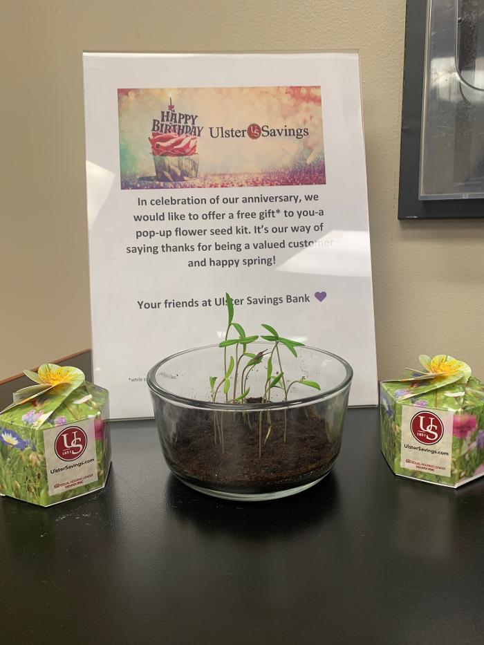 Ulster Savings Bank Image