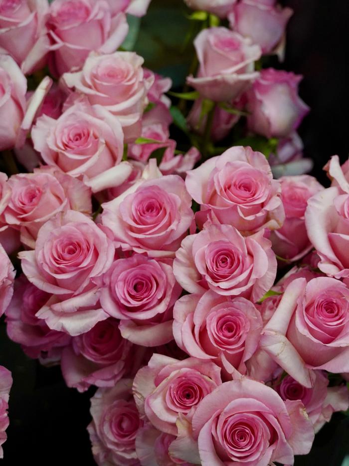 A Goode Florist - Stuart, FL