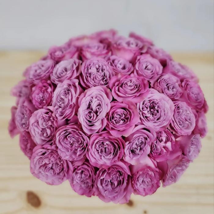 A Goode Florist - Stuart, FL