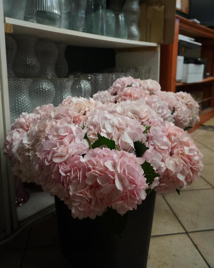 A Goode Florist - Stuart, FL